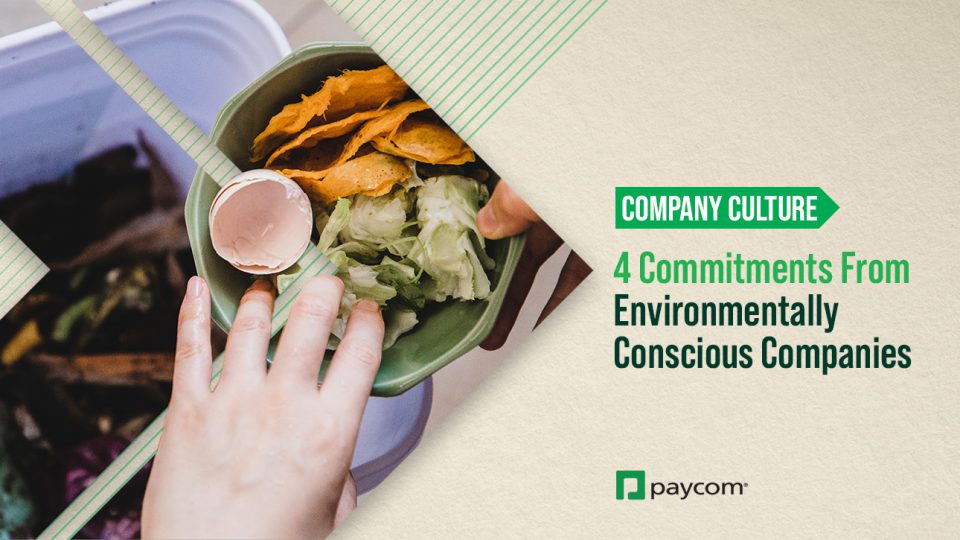 4 Commitments From Environmentally Conscious Companies Careers